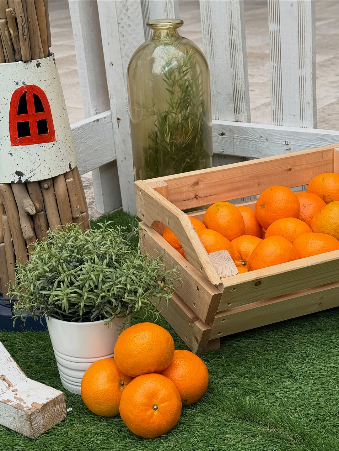 Oranges et clémentines de l'Atelier Corse