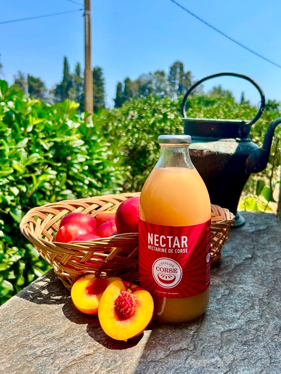 Purées et nectars de fruits